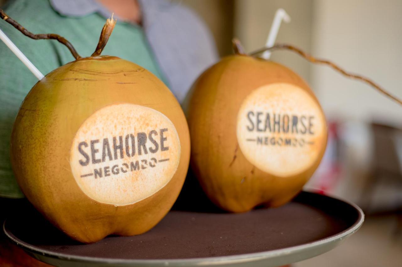 Seahorse Hotel & Spa Негомбо Екстериор снимка
